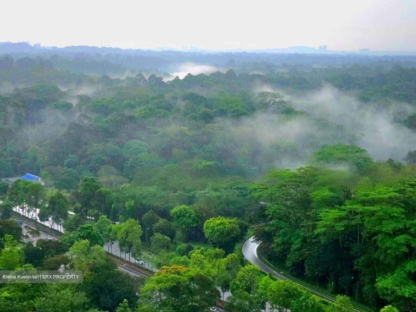 Eco Sanctuary (D23), Condominium #483698541